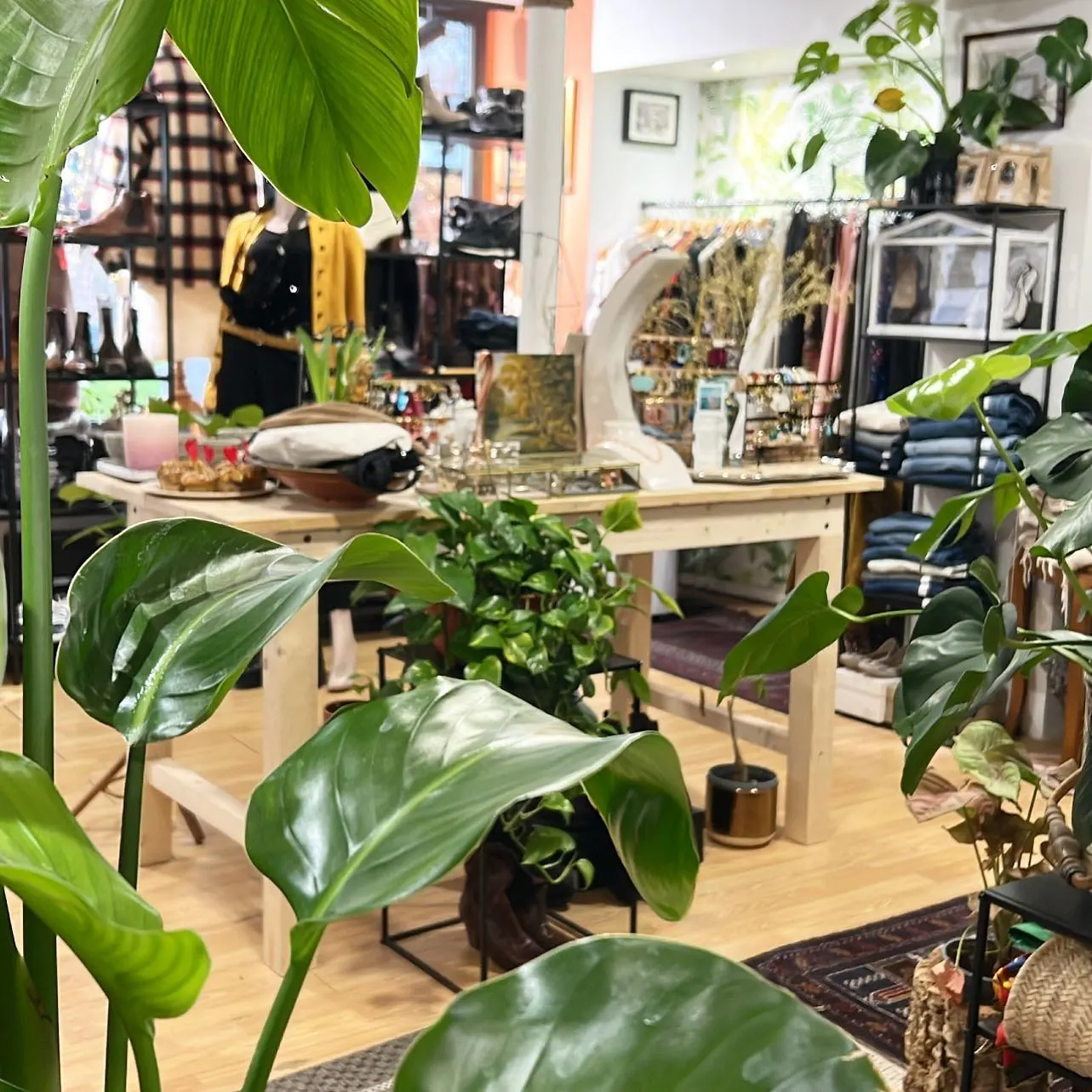 Bienvenue chez le Jardin de Lili & Sam